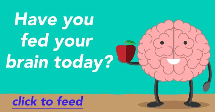 Banner for Have you fed your brain today