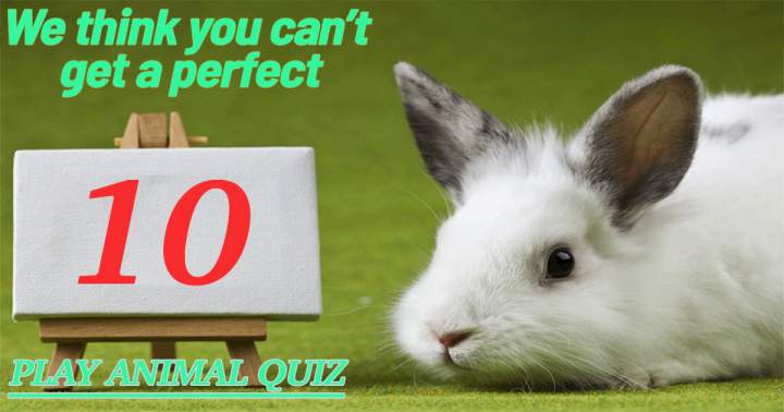 Banner for Hard Animal Quiz