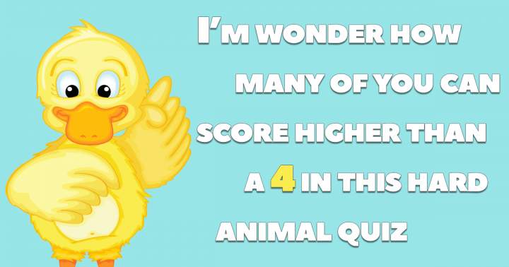 Hard Animal Quiz