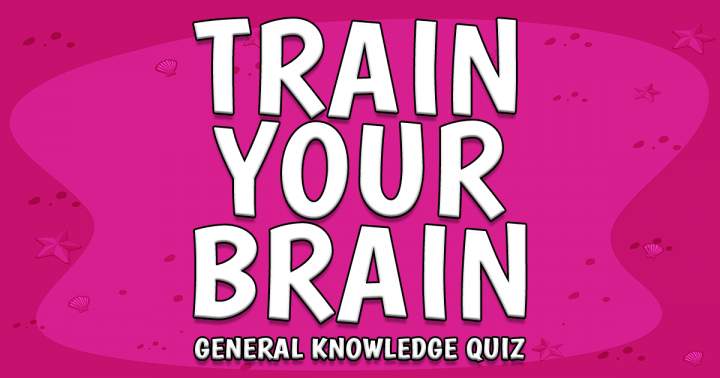 Brain Trainer Trivia