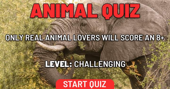 Banner for 10 very hard questions about animals only a zoologist can answer