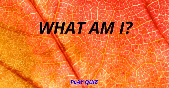 Quiz: Discover Your True Identity