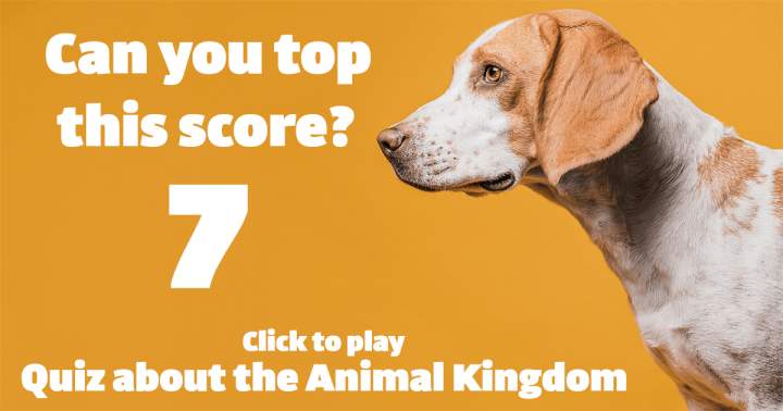 'Animal Kingdom Quiz'