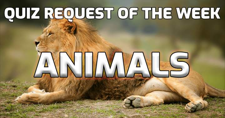 Request for the Animals Quiz of the Week.