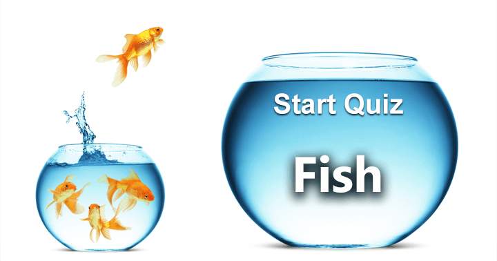 10 very challenging questions about fish, Take the test.