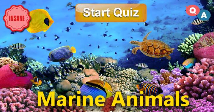 Marine Animals: Answer 10 Insanely Difficult Questions!