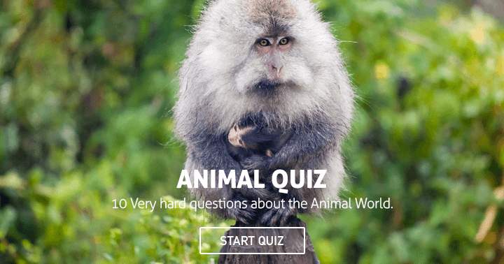 10 Very hard questions about the animal world.