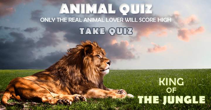 Only those who truly love animals will achieve a high score on the Animal Quiz.