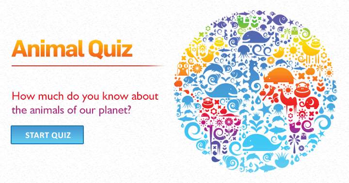 How much do you know about the animals of our beautiful planet?