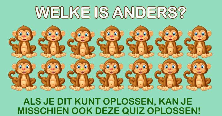 ZIE JIJ HET??