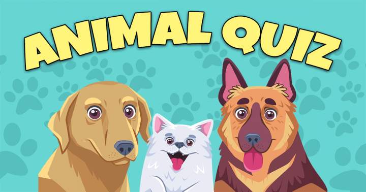 Quiz on Animals