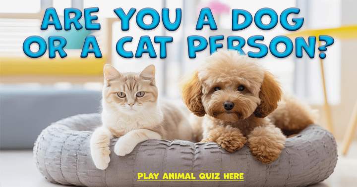 Quiz about animals.