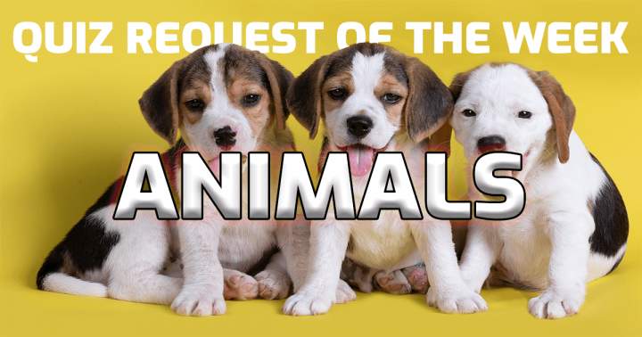 Quiz Request Of The Week: Animals