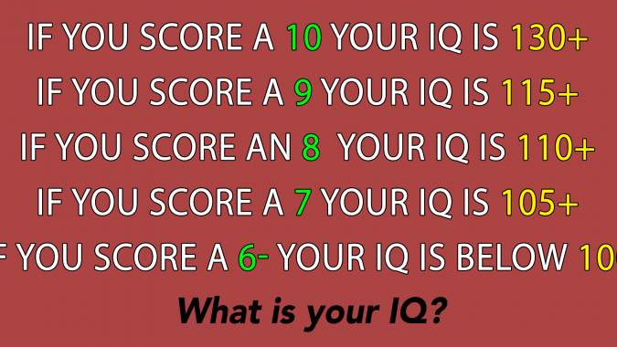 Banner for What is your trivia IQ