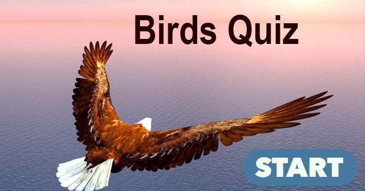 Challenging Quiz about Birds