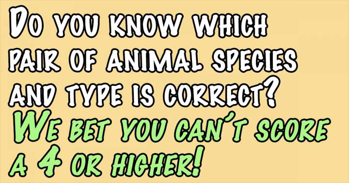 Banner for Animals Quiz