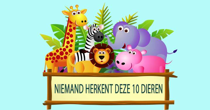 Banner for Niemand herkent ze alle 10!