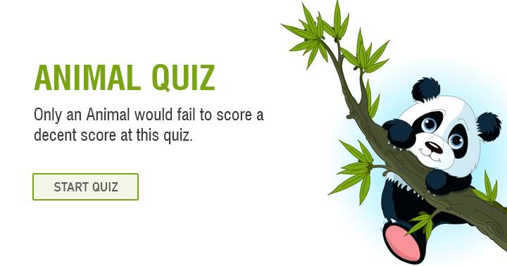 Banner for Anyone but a donkey would easily get a good score on this animal trivia quiz.