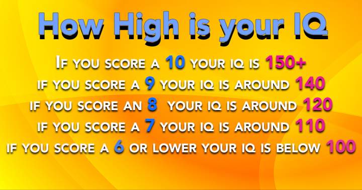 Banner for Test Your Intelligence 