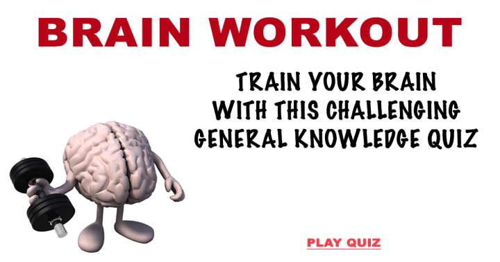 Banner for Brain Workout