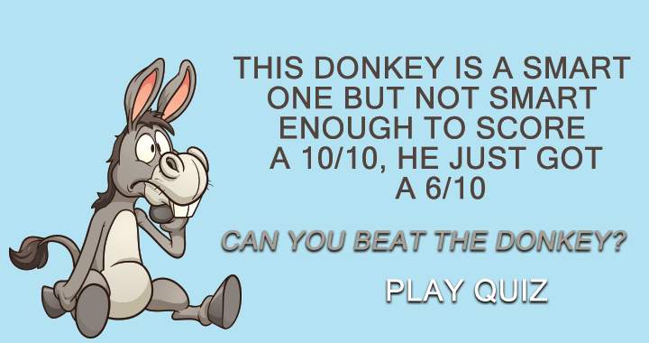 Banner for Are you smarter than the donkey?