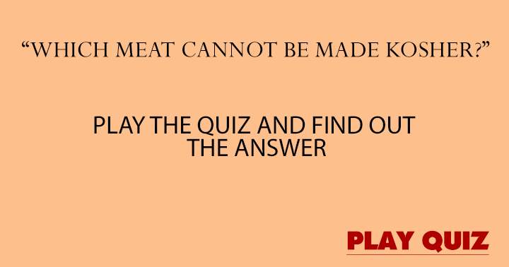 Banner for Food quiz