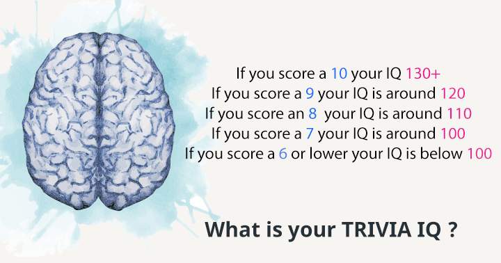 Banner for Test your Trivia IQ now!