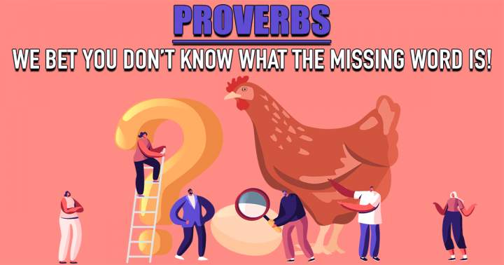 Banner for Proverbs Quiz