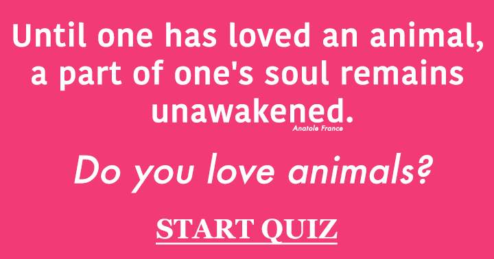 Banner for Animal Quiz