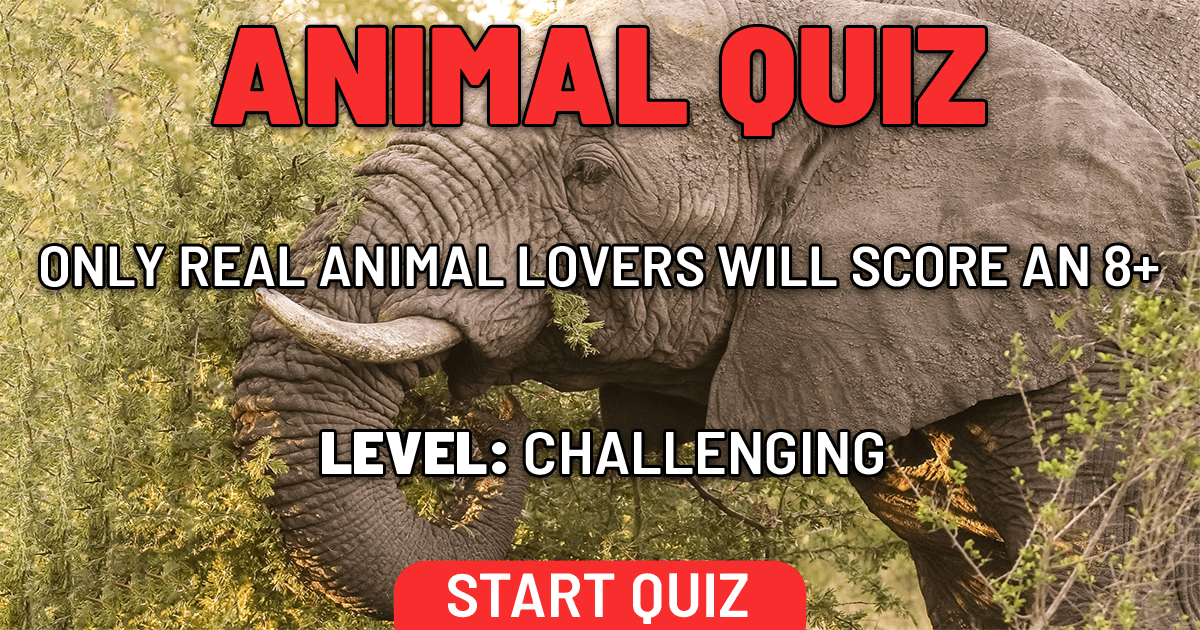 Hard Questions About Animals With Answers