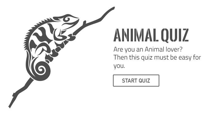 Are you a real animal lover? Then take this fun  but hard quiz.