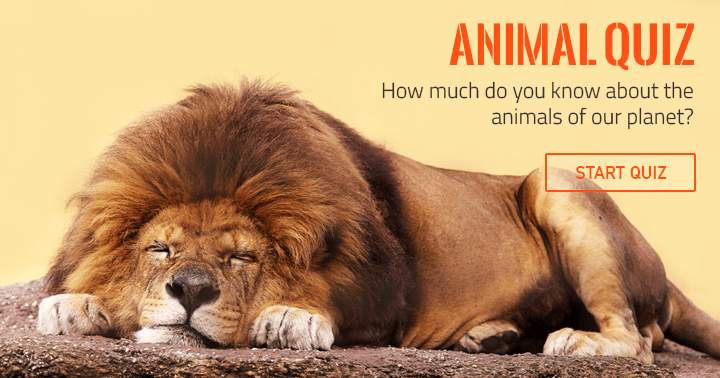 How much do you know about animals?