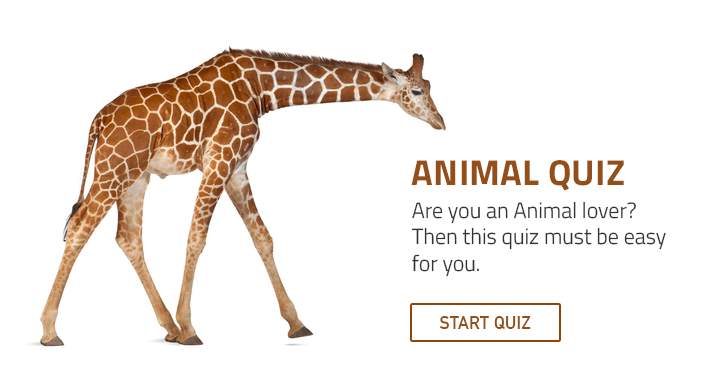 Animal lovers will enjoy this quiz.