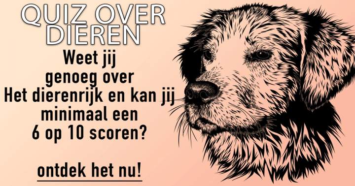 Banner for Dieren Quiz