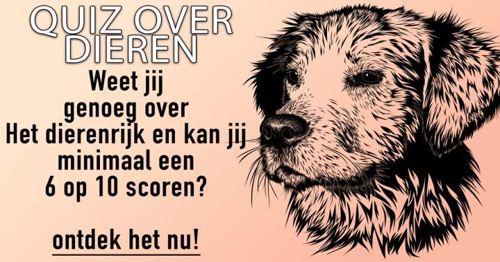 Dieren Quiz