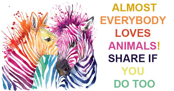 Do you love Animals too?