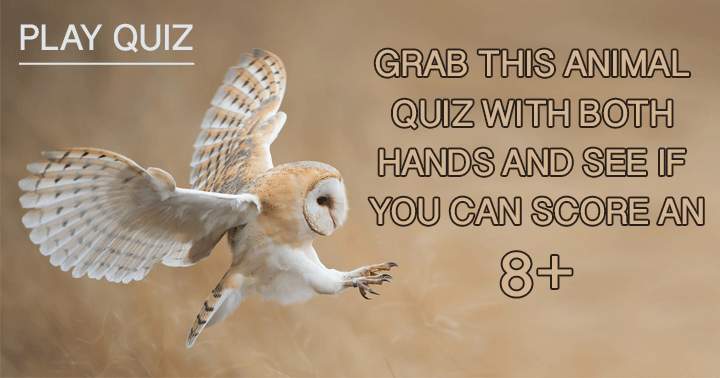 Grab this quiz with both hands and show everybody how good you are! 