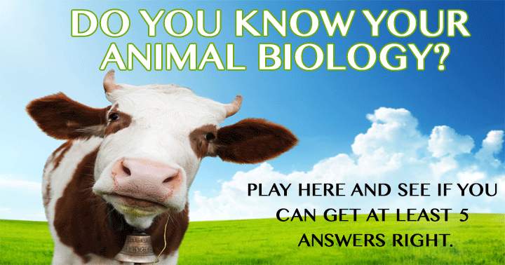 Do you know your animal biology?