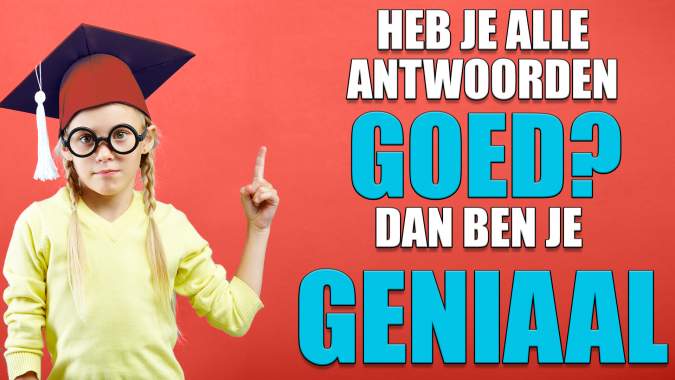 Banner for Geniale test