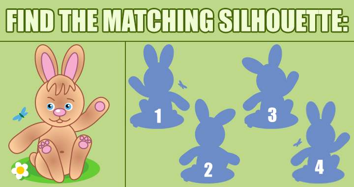 If you can find the matching silhouette you have a chance in this quiz!