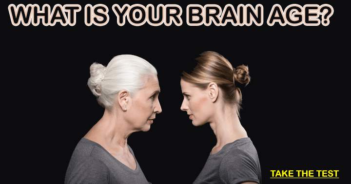 The person becomes smarter as their brain ages.