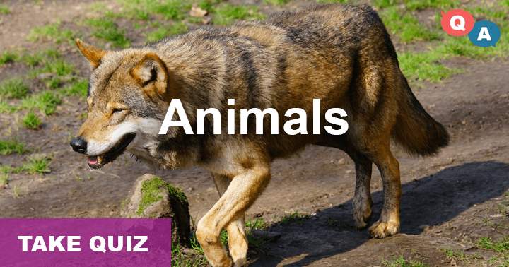 Most individuals struggle to answer even a single question correctly out of the 10 extremely difficult inquiries regarding Animals.