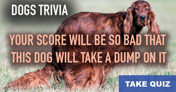 Dogs: 10 challenging questions for the ultimate test.