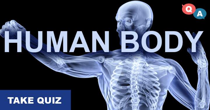 It's highly unlikely that you will score a 4 or better on this extremely challenging human body quiz.