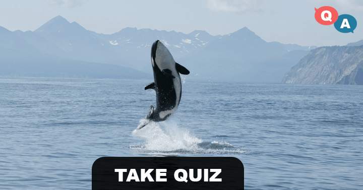 The level of difficulty for these 10 animal questions is extremely high.