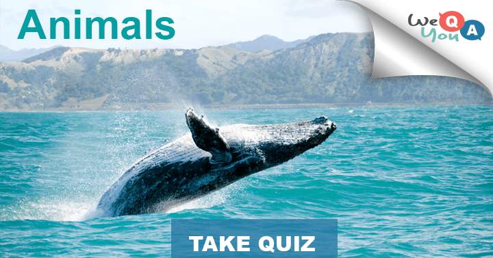 There are 10 questions regarding animals from our planet.