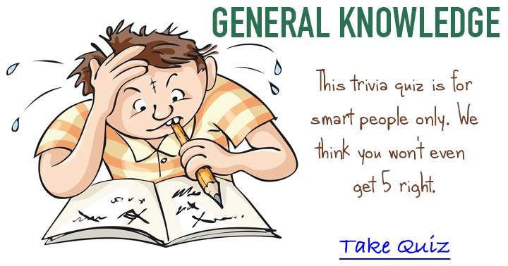 Brain Box exclusive: Engage in a riveting general knowledge trivia quiz for ultimate fun!