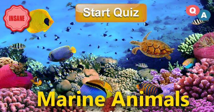 Marine Animals: 10 Insane Level Questions!