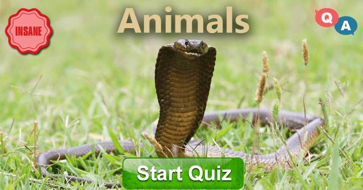 Animal Trivia: 10 challenging and enjoyable questions at an INSANE level.