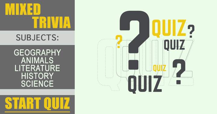 Do you excel at playing quizzes?